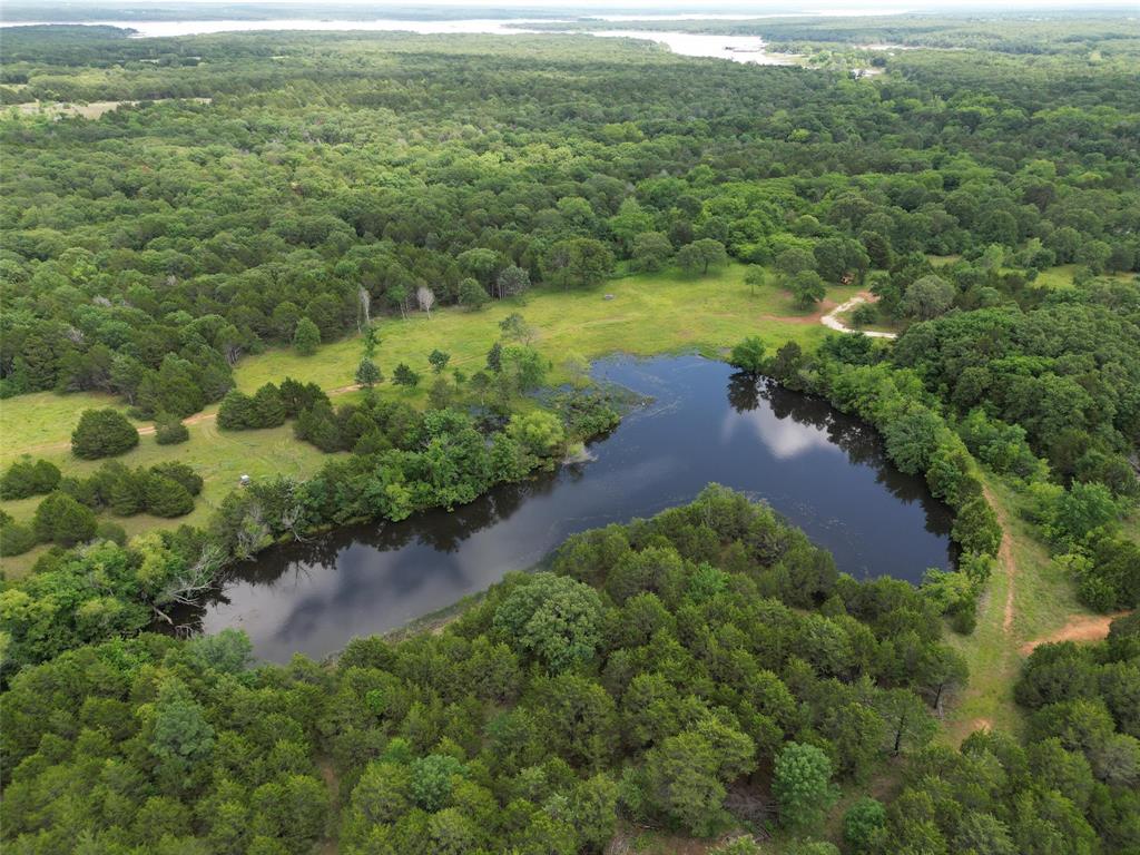 58 Acres 305 Stuckey