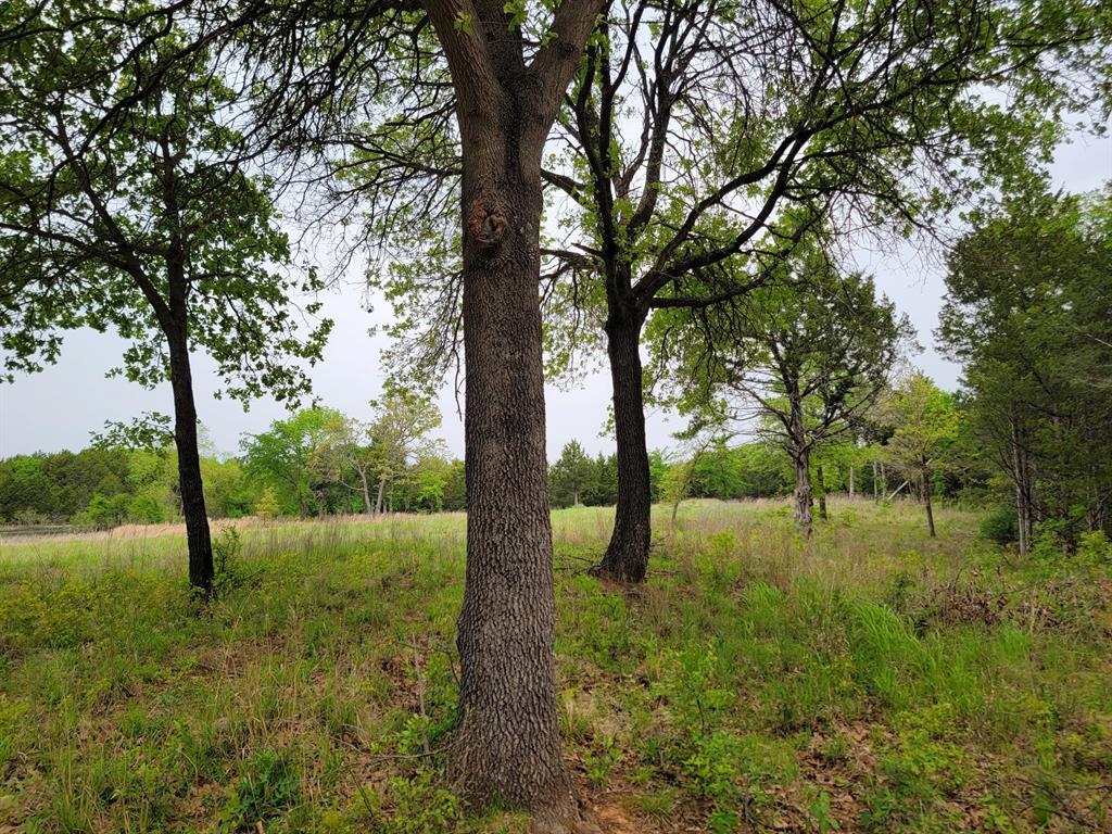 58 Acres 305 Stuckey