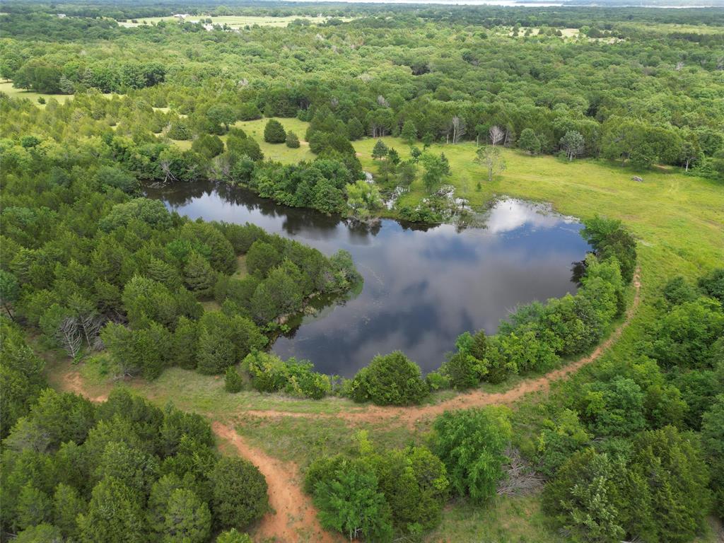 58 Acres 305 Stuckey