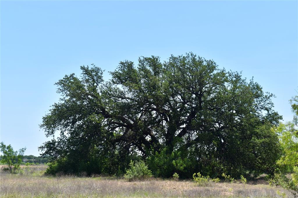 8228 US HWY 377