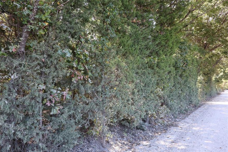 Three separate beautiful 5-acre tracts located just outside of Bonham, TX! This heavily wooded property offers a peaceful, secluded setting perfect for weekend recreation, hunting, or building your dream home in the country. Mature trees cover the property, providing excellent privacy, natural shade, and habitat for deer, turkey, and other wildlife. Ideal for outdoor enthusiasts — bring your ATV, set up a campsite, or create hiking trails through your own private woods. Several potential building sites and electricity is available at the road. No known restrictions, so you have the freedom to build a custom home, barndo, cabin, or use it as a quiet retreat. Located just minutes from Bonham and a short drive to Bois d’Arc Lake, one of Texas’ newest recreational lakes. Easy access to Sherman, Paris, and the northern DFW area. Whether you're looking for a weekend escape or a place to put down roots, this property has the space and flexibility to fit your vision. Come walk it today and imagine the possibilities! Lot 1, Lot 2 and Lot 3 are all sold separately.  Lot 3 is has the possibility of a purchase of additional 4.99 acres.