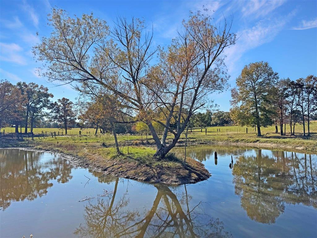 573 Van Zandt County Road 1208