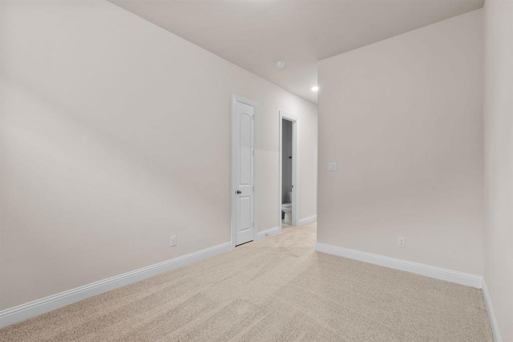 Painted Tree - Residential