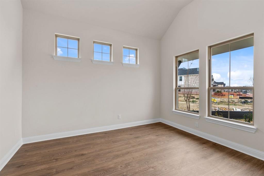 Painted Tree - Residential