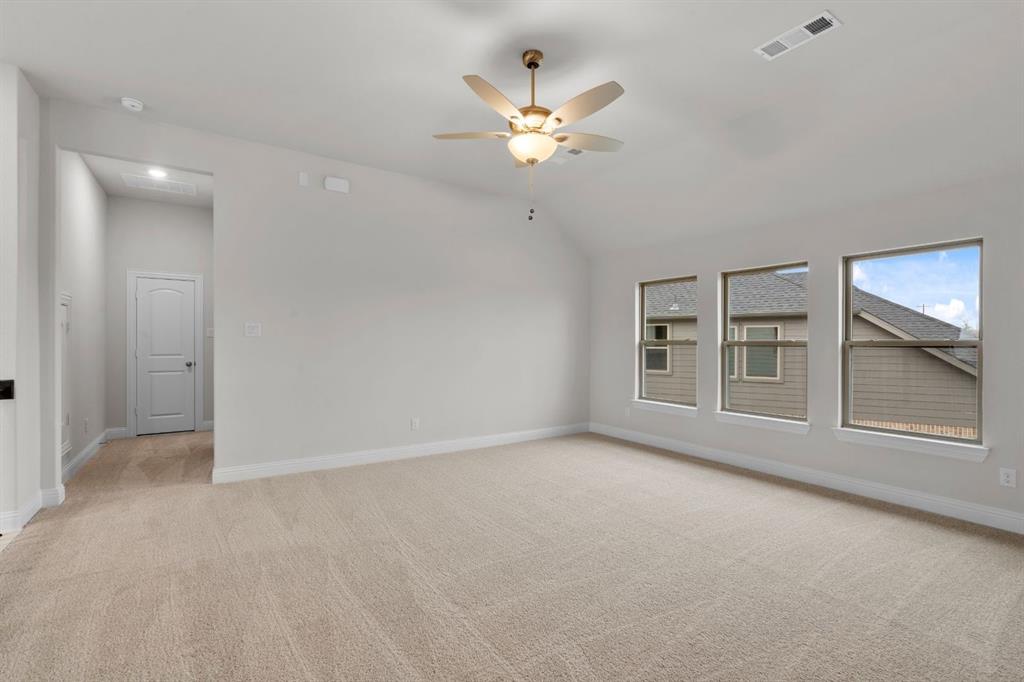 Painted Tree - Residential