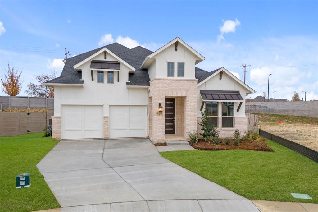 Painted Tree - Residential