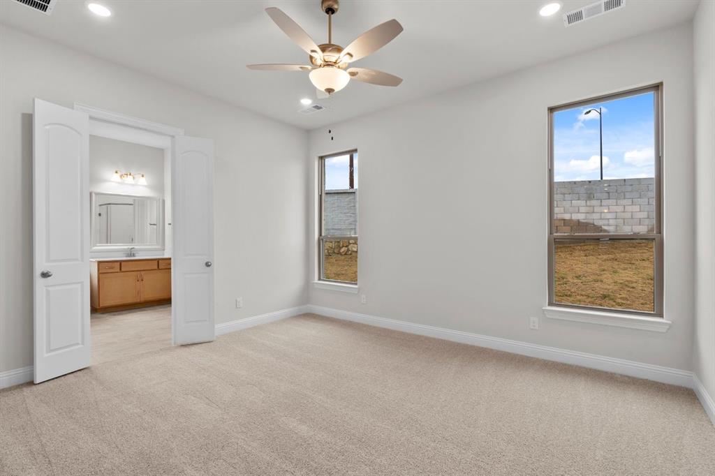 Painted Tree - Residential