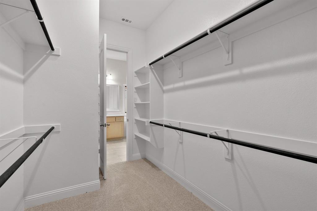 Painted Tree - Residential