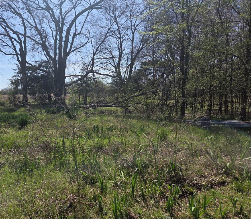 294 County Road 2809