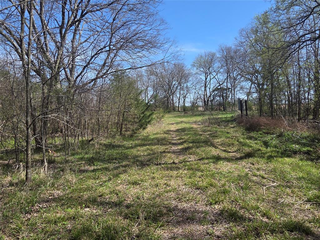 294 County Road 2809