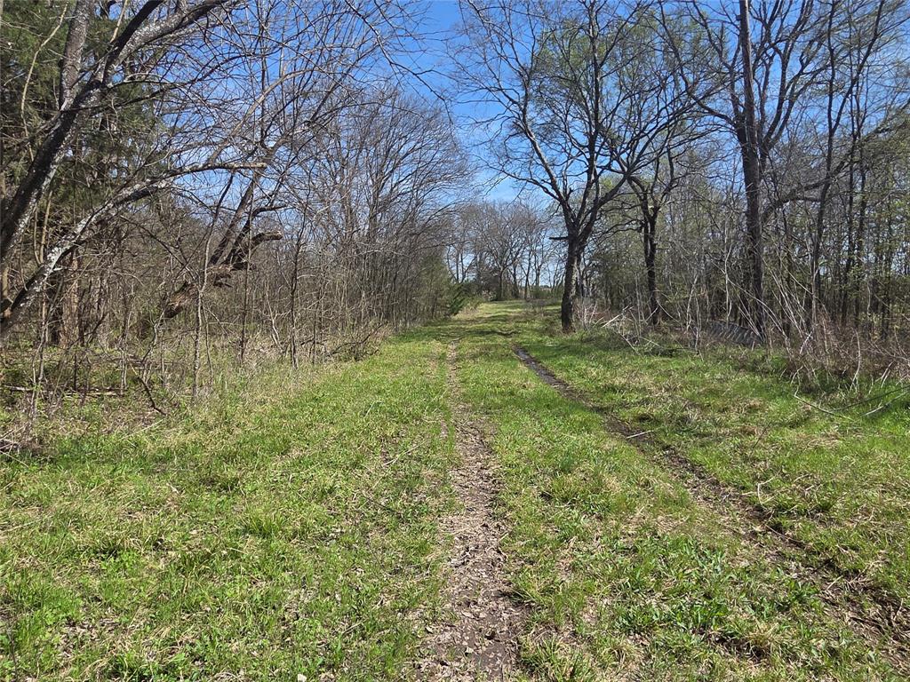 294 County Road 2809