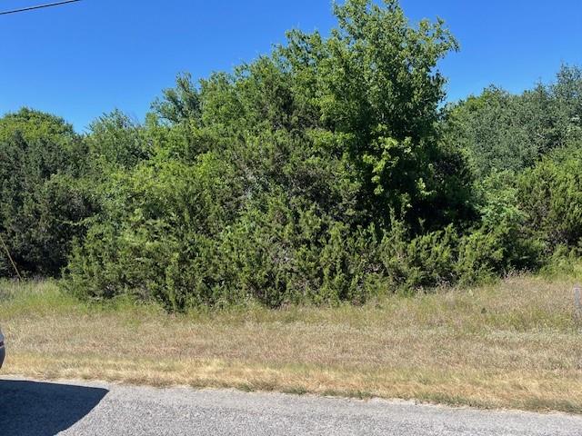 White Bluff #1 - Land