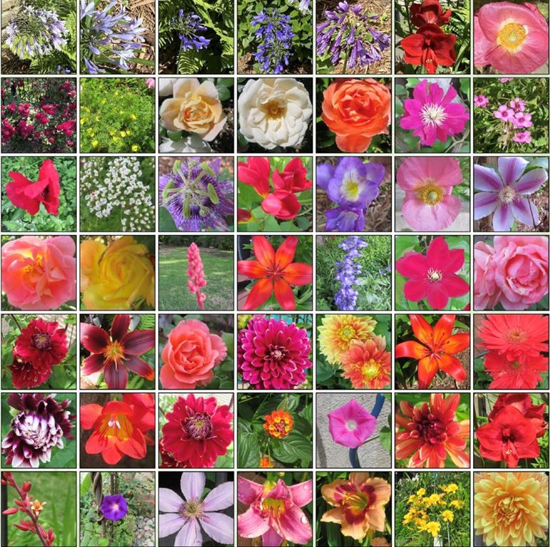 Grapevine, Texas 76051, United States, 4 Bedrooms Bedrooms, ,5 BathroomsBathrooms,Residential,Pending,7990