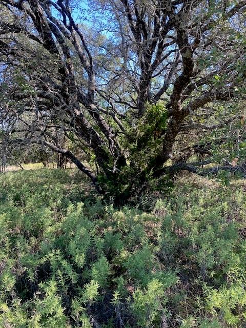 H T & B Railroad Company - Land