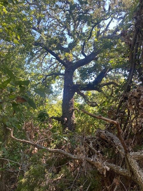 H T & B Railroad Company - Land