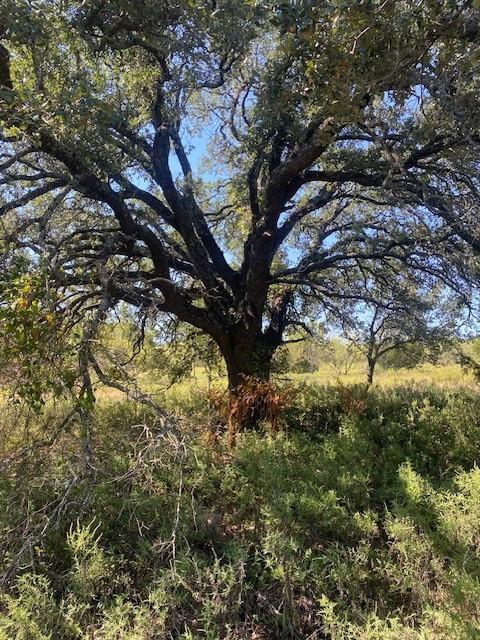 H T & B Railroad Company - Land