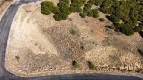 1009 Raven Circle Graford TX 76449