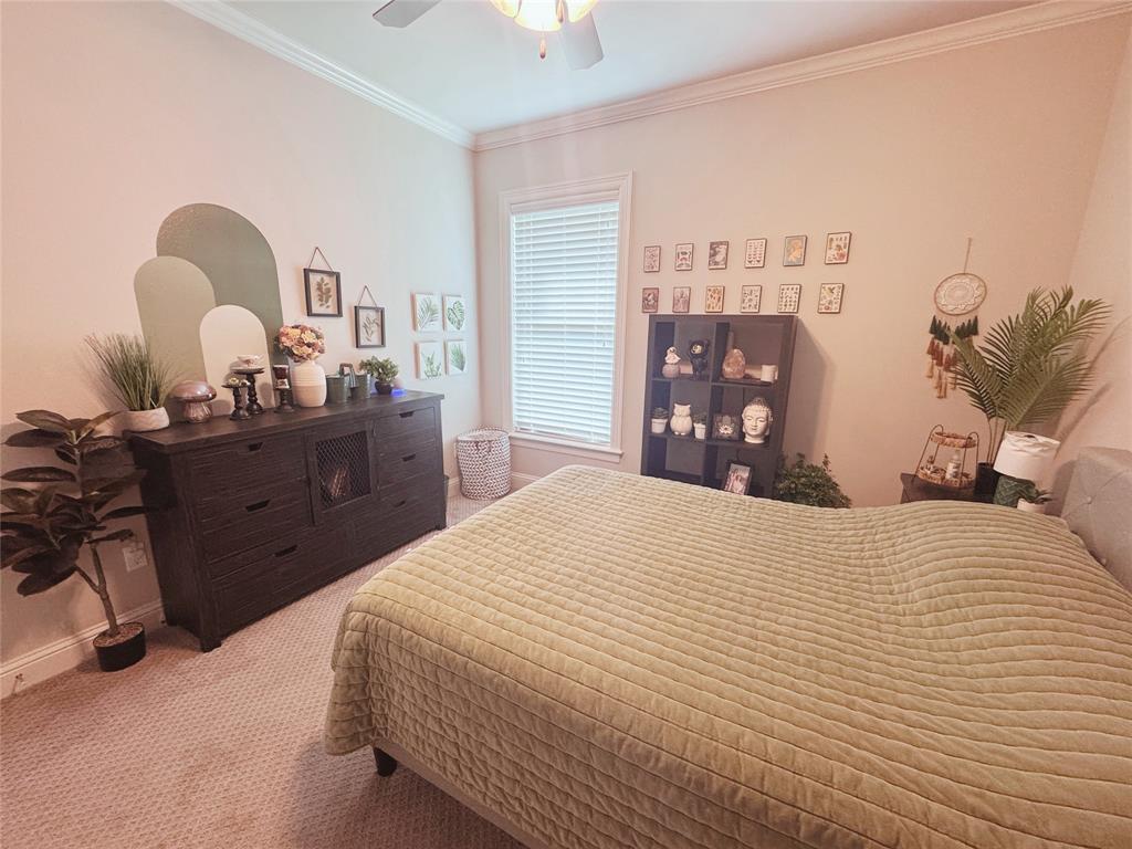 Belmere - Residential