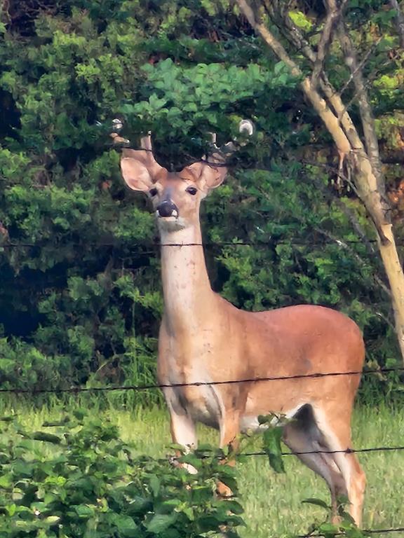 Fairfield - Residential