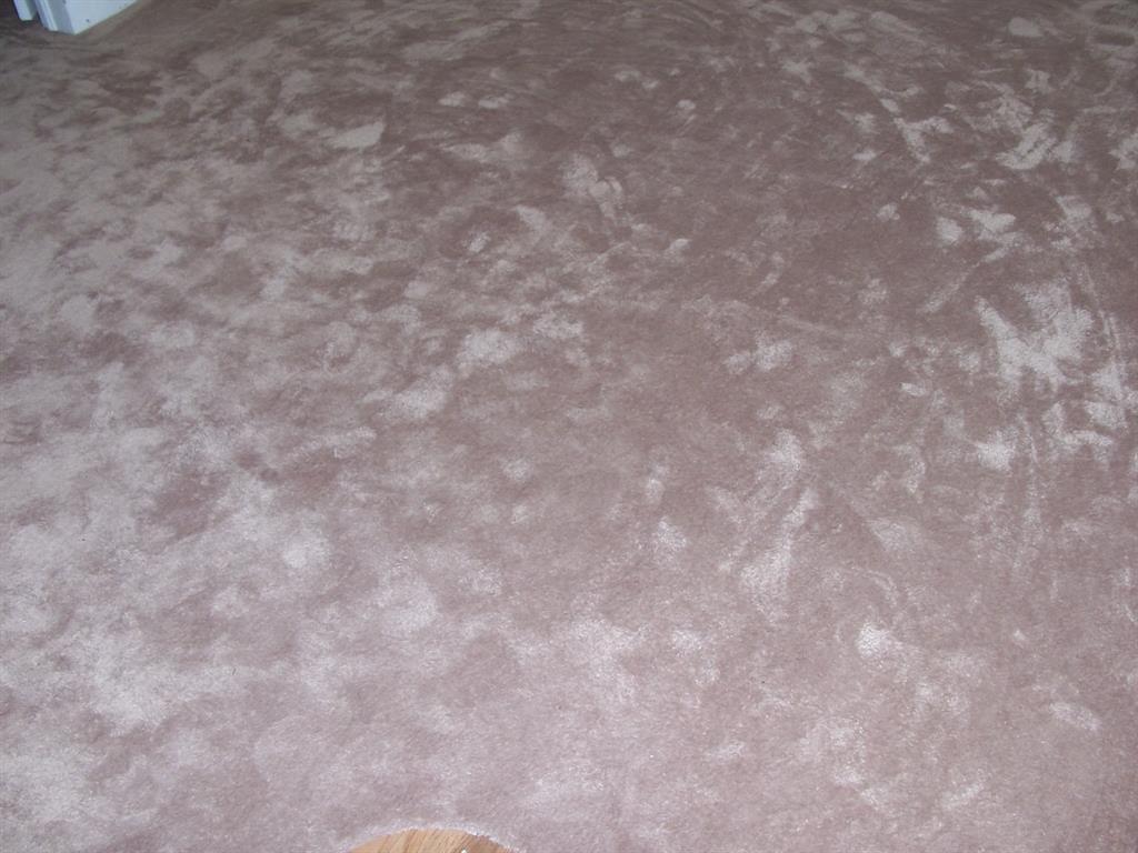 Fort Worth, Texas 76111, United States, 2 Bedrooms Bedrooms, ,1 BathroomBathrooms,Residential,Pending,127299