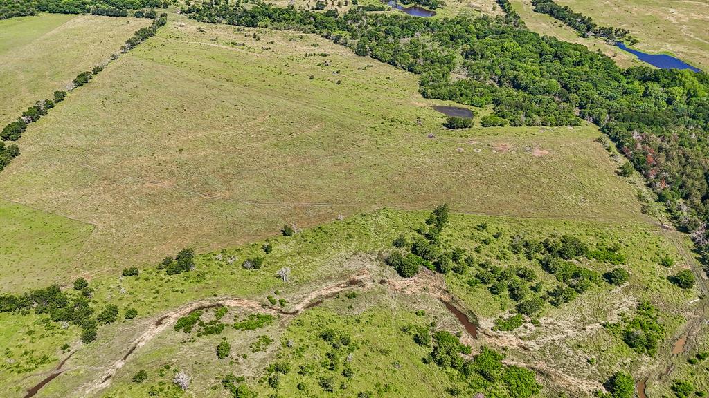 J M CAZNEAU ABST - Farm