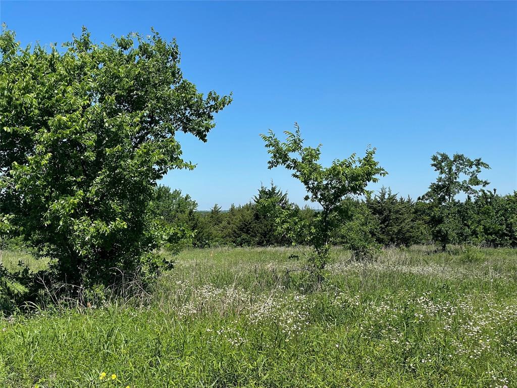 H Kattenhorn Surv A-672 - Land