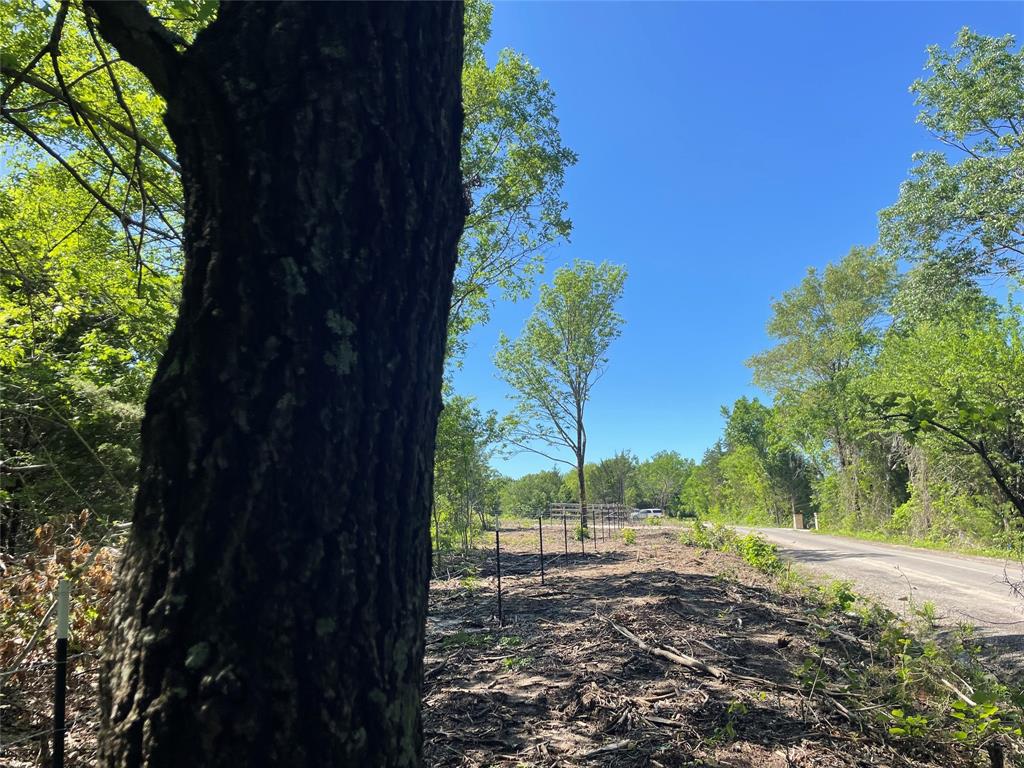 H Kattenhorn Surv A-672 - Land