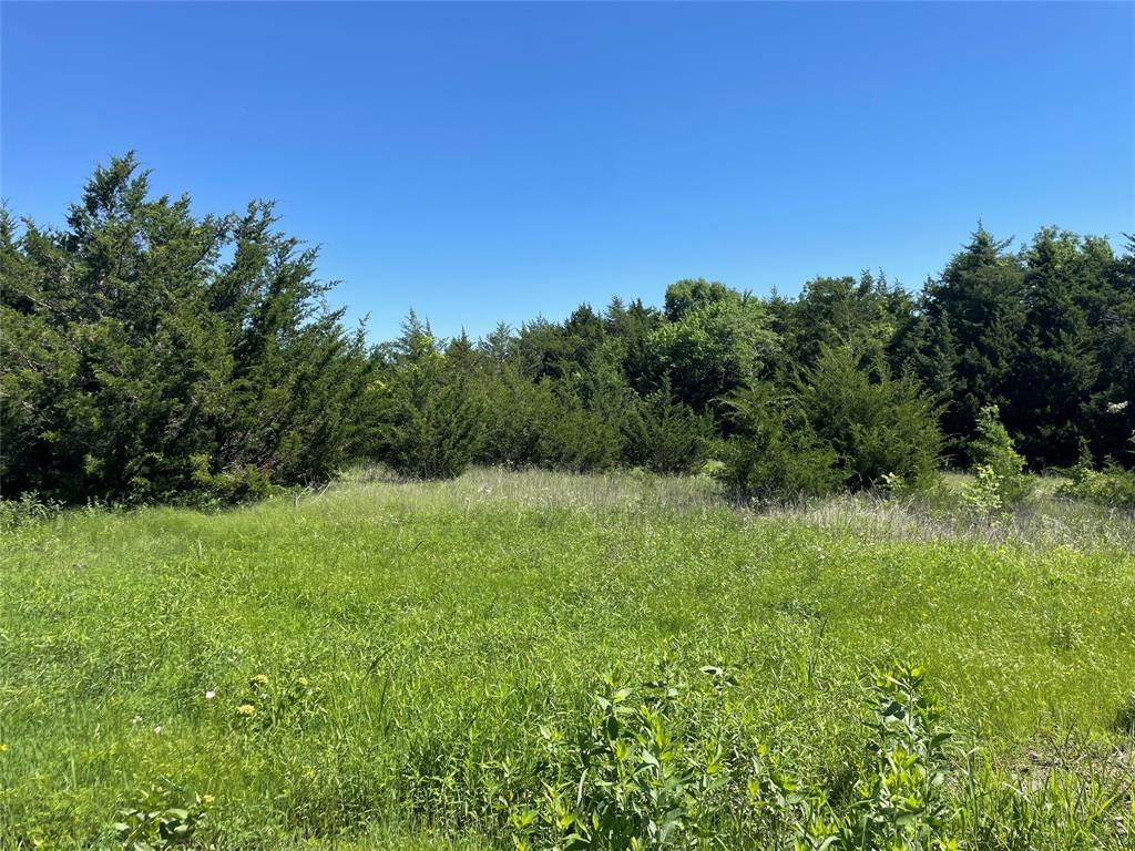 H Kattenhorn Surv A-672 - Land