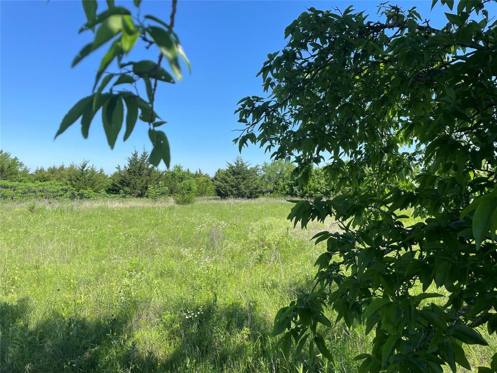 H Kattenhorn Surv A-672 - Land