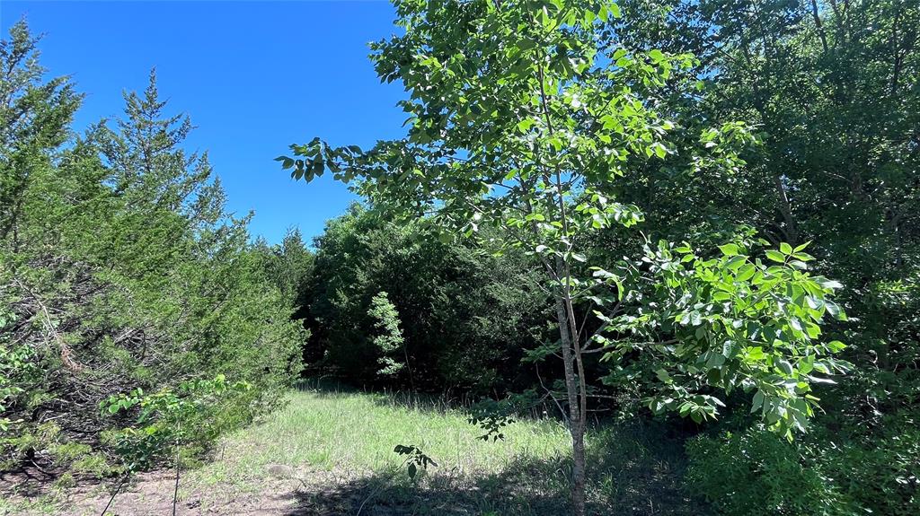 H Kattenhorn Surv A-672 - Land