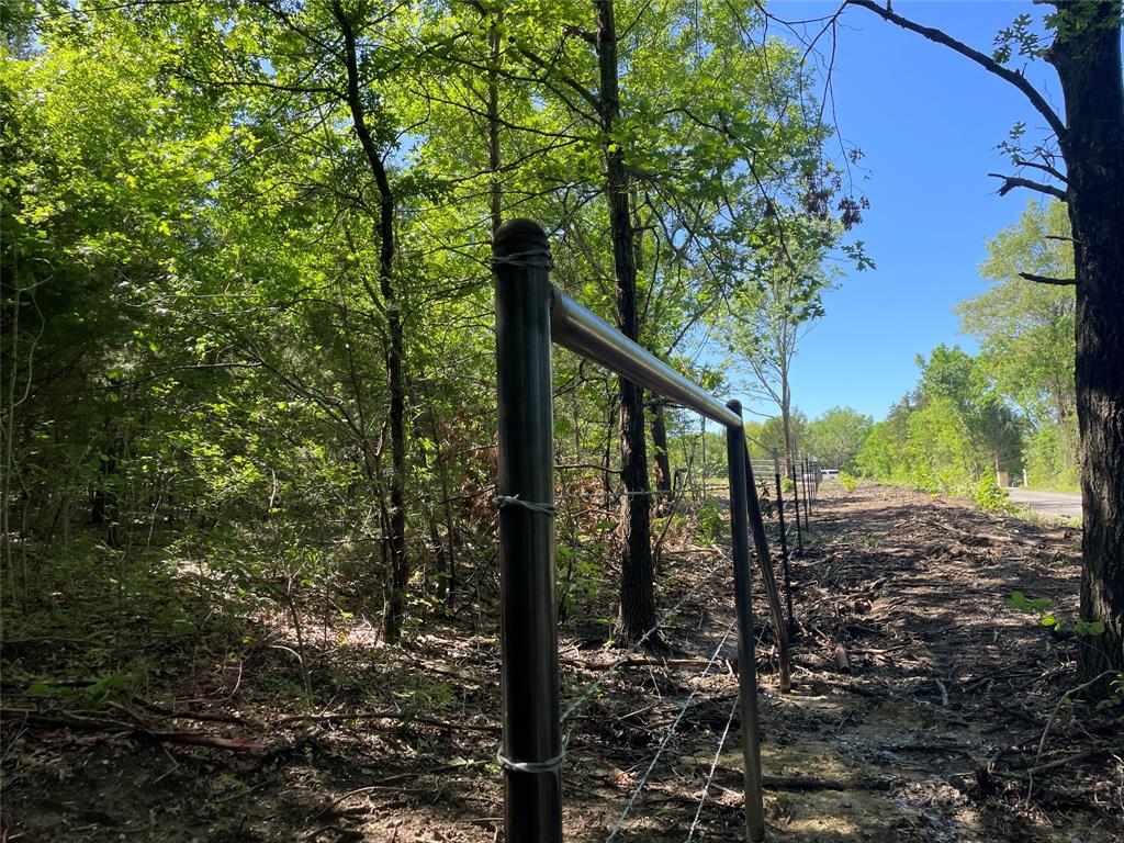 H Kattenhorn Surv A-672 - Land