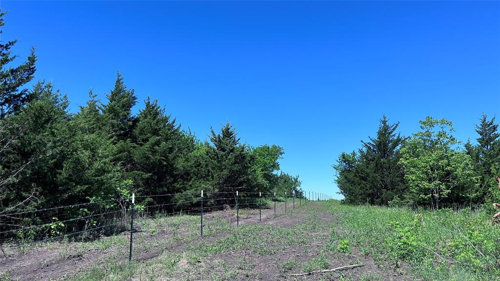 H Kattenhorn Surv A-672 - Land