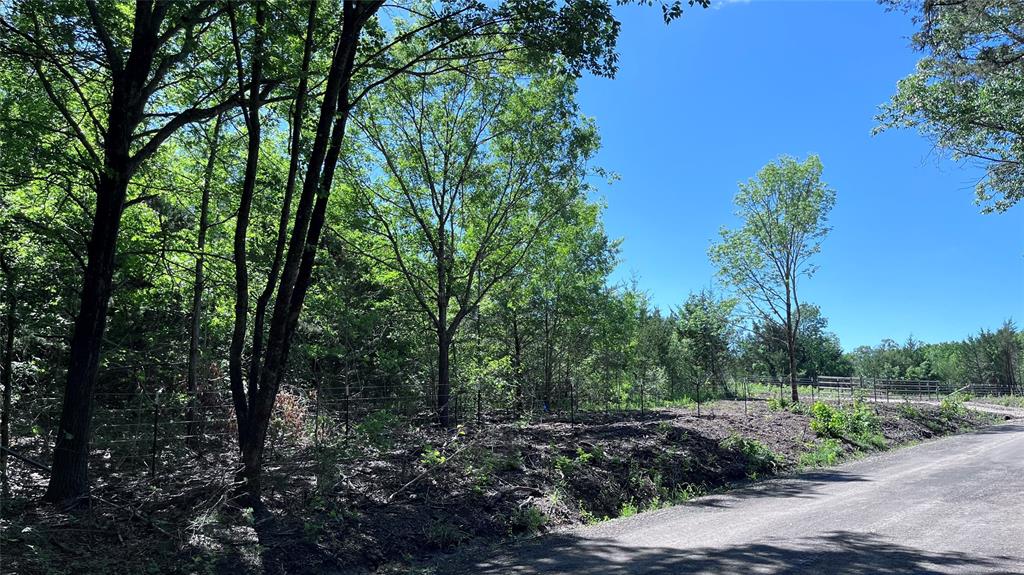 H Kattenhorn Surv A-672 - Land