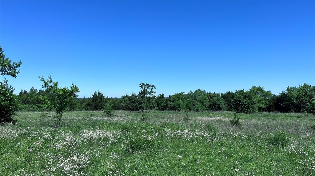 H Kattenhorn Surv A-672 - Land