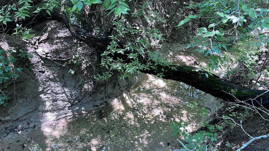 H Kattenhorn Surv A-672 - Land