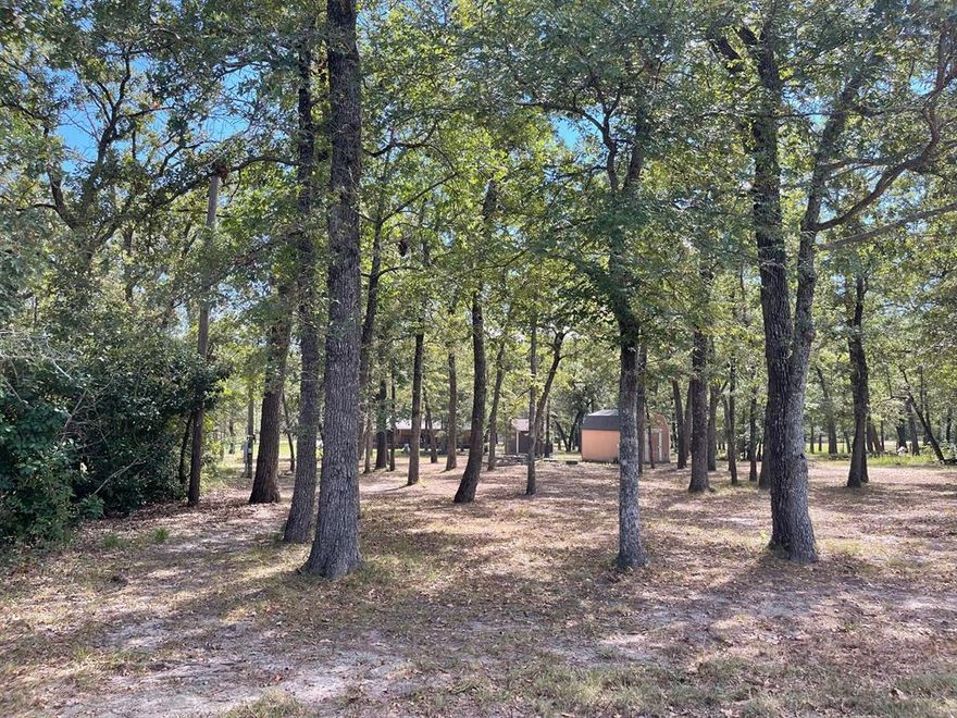 Your new lake home belongs here!  Lot 15 is a beautiful, heavily treed home site on the south side of Richland Chambers Lake.  This property offers a half acre of space, is seated across the street from the waterfront and just a few lots down from the subdivision boat ramp.  Lot 15 has a septic system already installed that would accommodate a 3 bedroom house and a storage building with electric.  When you arrive at Cape Estes, you will immediately love the serene feel that this heavily treed subdivision offers. Cape Estes is deed restricted to site built or modular homes and does allow for limited RV use with ACC approval.  It also offers it's owners access to the lake via the private subdivision boat ramp.  This gorgeous home site is waiting and ready for you!  See it today!