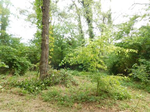 A home in Grand Saline