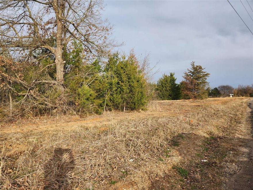 Land for sale in Hopkins County in Saltillo school district. Property is a beautiful mix of trees and open space. This gorgeous lot has water and electric available at the road. It is ready for your Home: Site Built, Mobile, Manufactured, Tiny or Barndominium. NO RESTRICTION ON TYPE OF HOME. Only light restrictions to maintain property values: Seller will be providing a brand new Plat Survey! Several lots available. Owner Financing available. Great opportunity - Call today for owner financing terms. Price is different if Owner Financing.