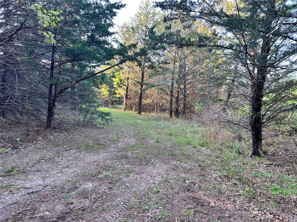 0000 County Road 417