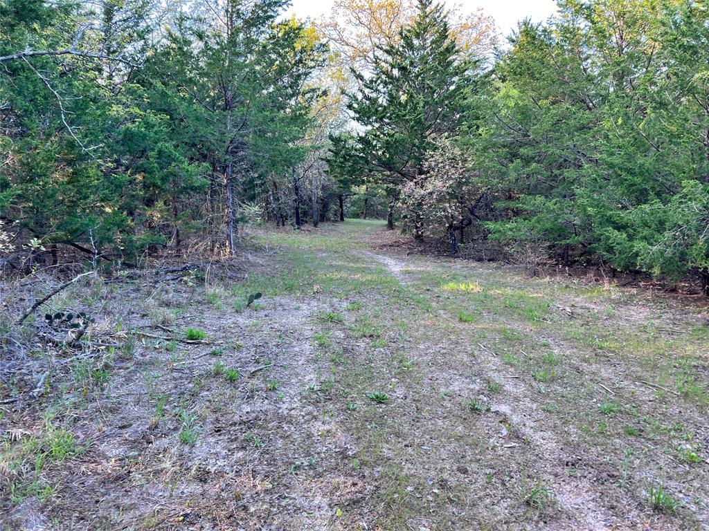 0000 County Road 417