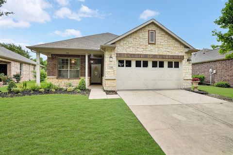 7538 Black Rock Cove Frisco TX 75036