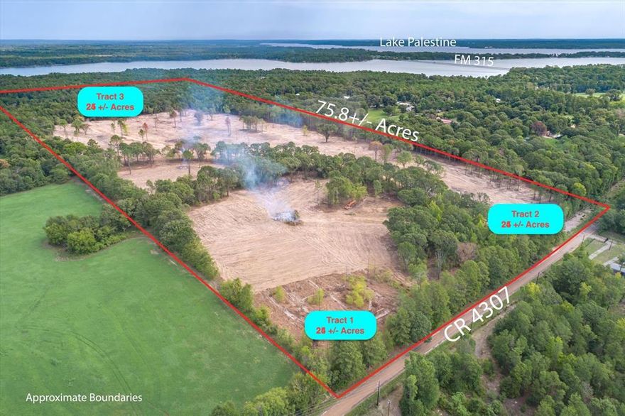 Approximately 23. Acres tracts - UNRESTRICTED - Very close to lake Palestine - This 75.850 Acre tract is being broke down into 3 large tracts. Tract size to be determined by survey. Survey of the full 75.850 acres is available. The sky is the limit! you can build your dream home, subdivide down, build an RV park, Tiny home Complex or whatever your heart desires. Don't miss this opportunity! Aqua water and Trinity Valley Electric available. Butts up to a subdivision that touches Lake Palestine and just minutes from main marina. 
TRACT 1 IS UNDER CONTRACT FOR 30 ACRES OUT OF THE 75.850 SO THAT LEAVES 45.8590  IMAGES ARE NOT ACCURATE SINCE THE BUYERS BOUGHT MORE ACREAGE THAN WAS ADVERTISED