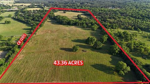 TBD CR 1205 Road Savoy TX 75479