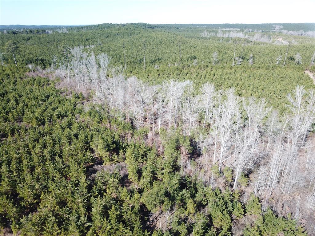 00 Off Hwy 517