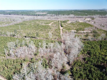 00 Off Hwy 517 Gibsland LA 71028
