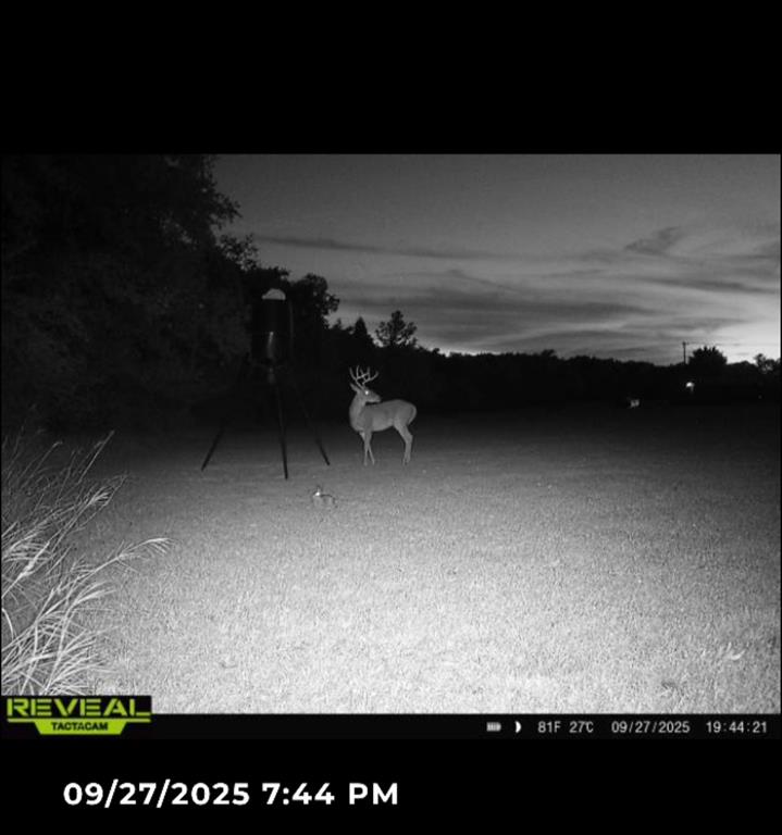 Country Squire Estate - Residential