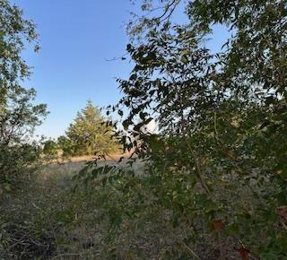 A-93 CT BRUSH - Residential