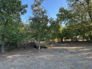 A-93 CT BRUSH - Residential