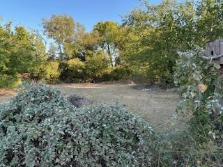 A-93 CT BRUSH - Residential