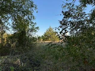 A-93 CT BRUSH - Residential